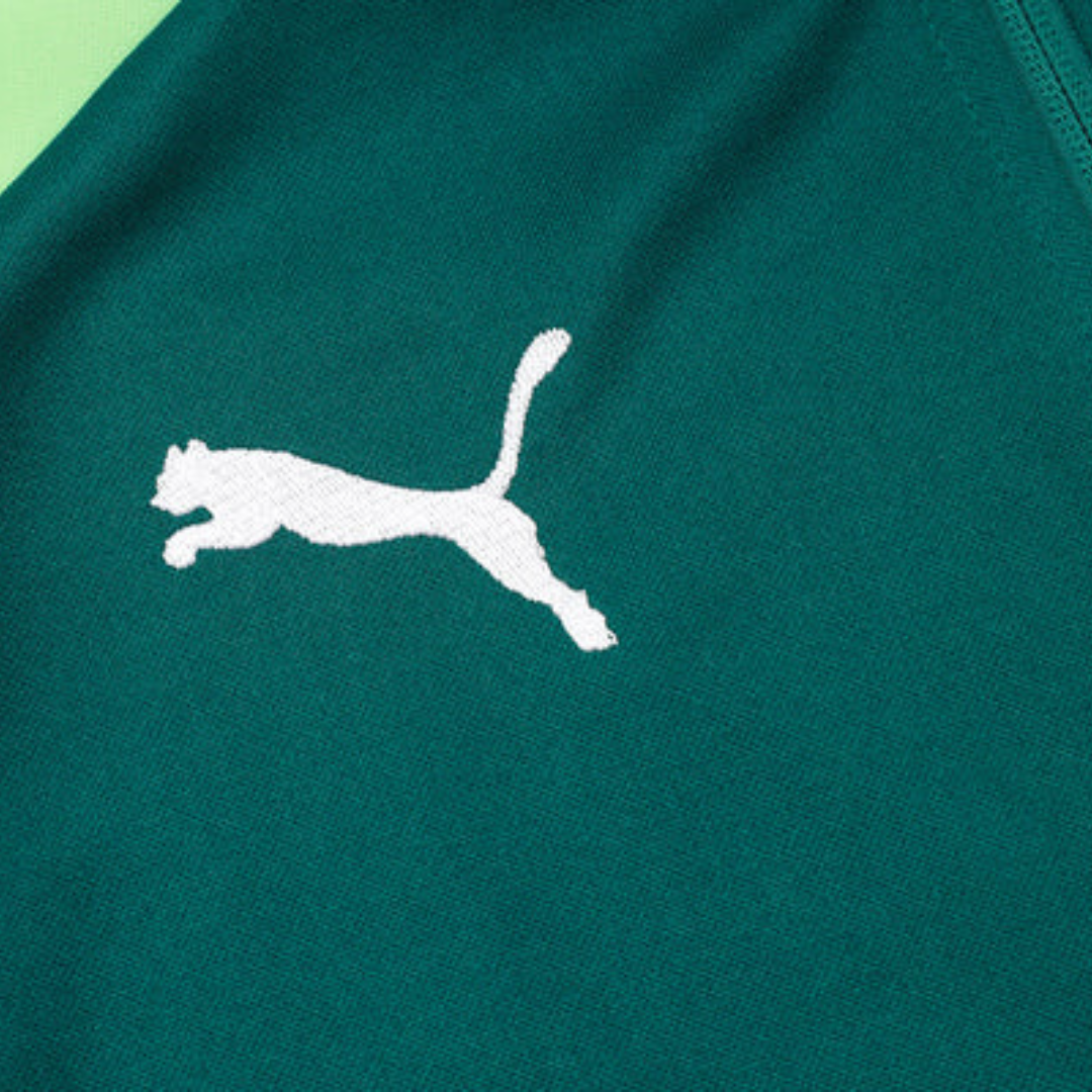 Conjunto Palmeiras Ziper Longo 24/25