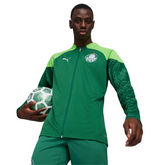 Conjunto Palmeiras Ziper Longo 24/25