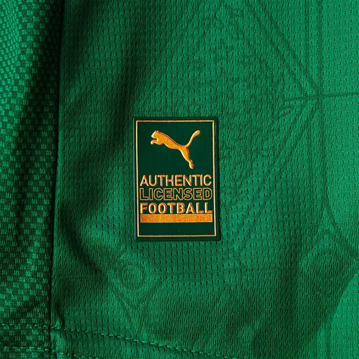 [LANÇAMENTO] Camisa Palmeiras JOGADOR 25/26 Home