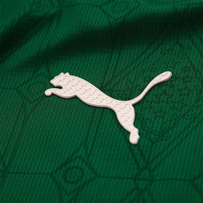 [LANÇAMENTO] Camisa Palmeiras JOGADOR 25/26 Home