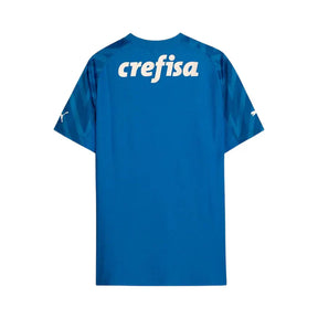 Camisa Palmeiras Goleiro 24/25 Home