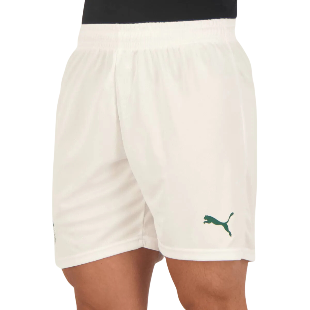 Short Palmeiras Puma 23/24