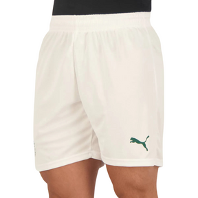 Short Palmeiras Puma 23/24