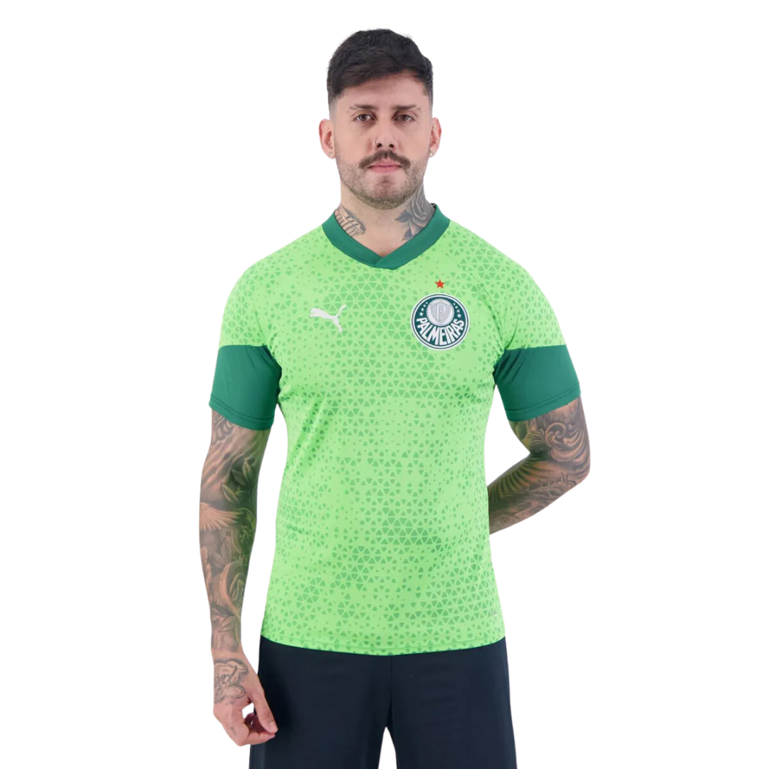 Camisa Puma Palmeiras Treino 2024