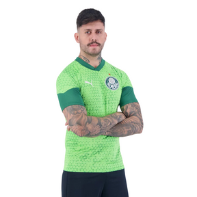 Camisa Puma Palmeiras Treino 2024