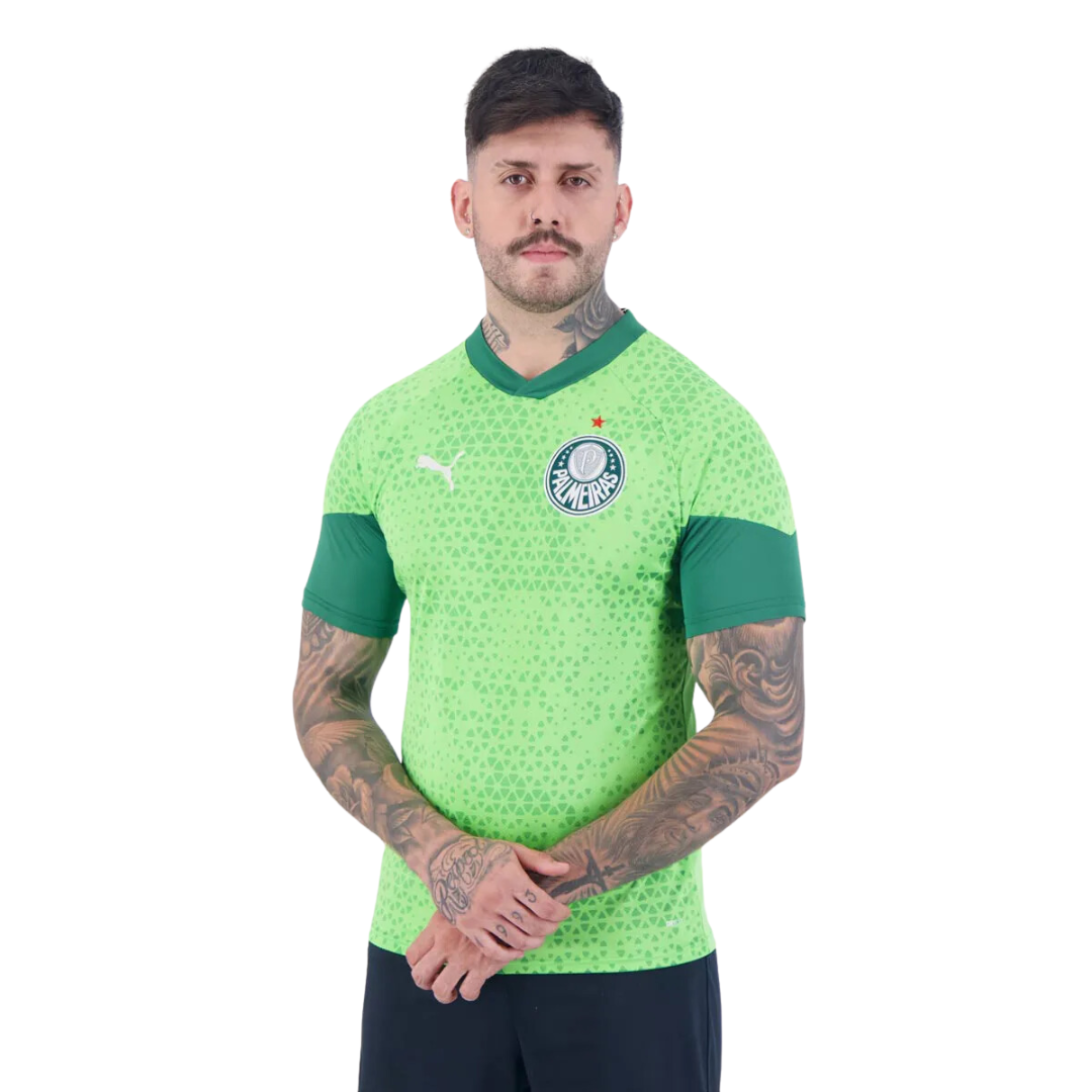 Camisa Puma Palmeiras Treino 2024