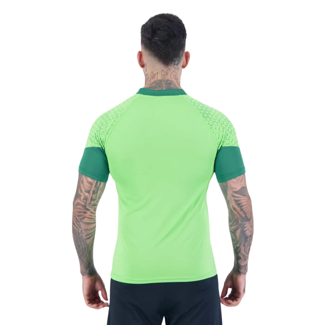 Camisa Puma Palmeiras Treino 2024