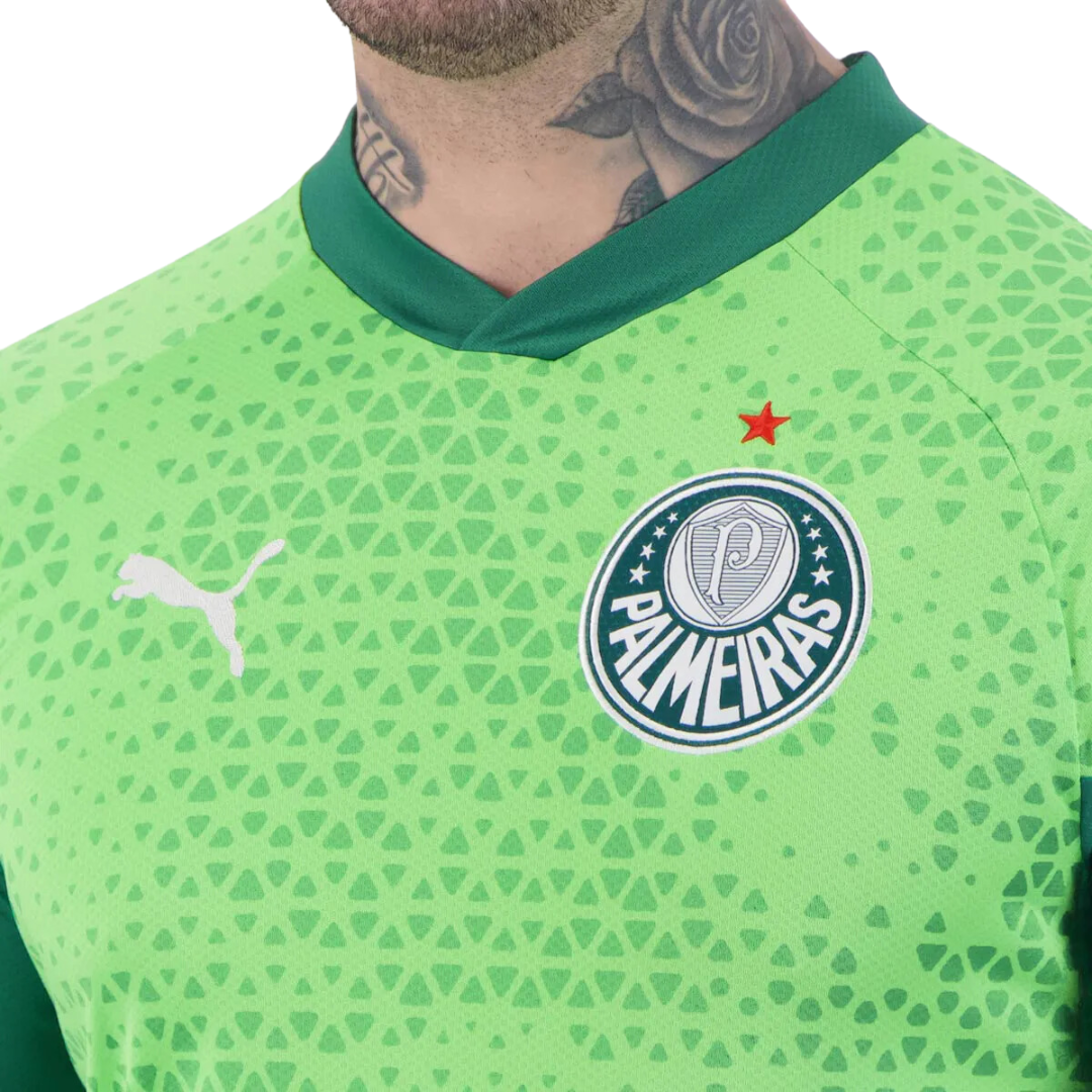 Camisa Puma Palmeiras Treino 2024
