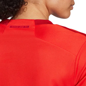 Camisa Feminina Internacional 2023/24 HOME