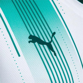 Camisa Masculina Palmeiras Puma 23/24 Patrocinadores